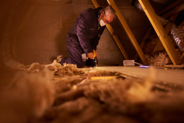 Best Insulation Installation Services in Wayne Heights, PA